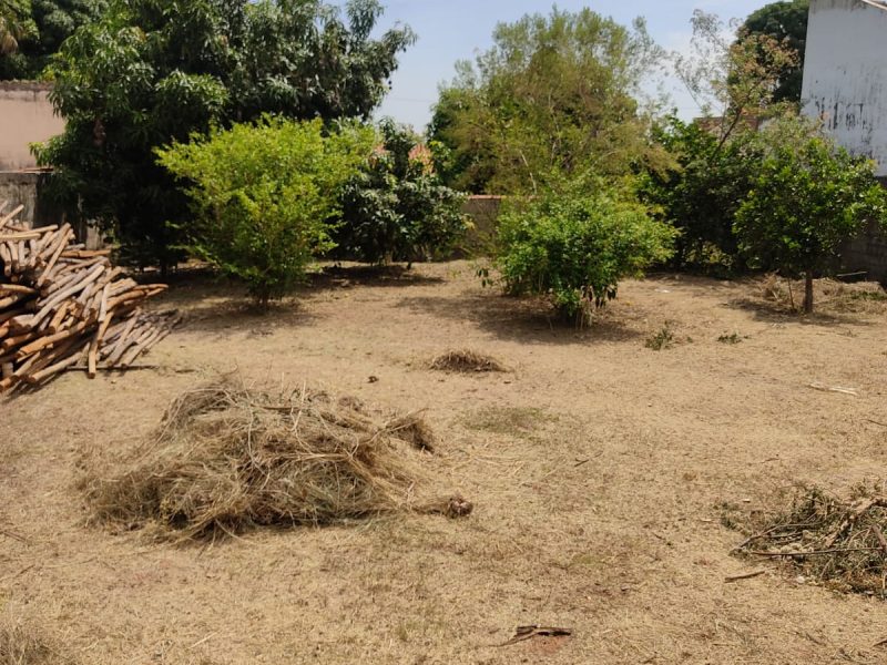 WhatsApp Image 2022-10-30 at 19.53.17