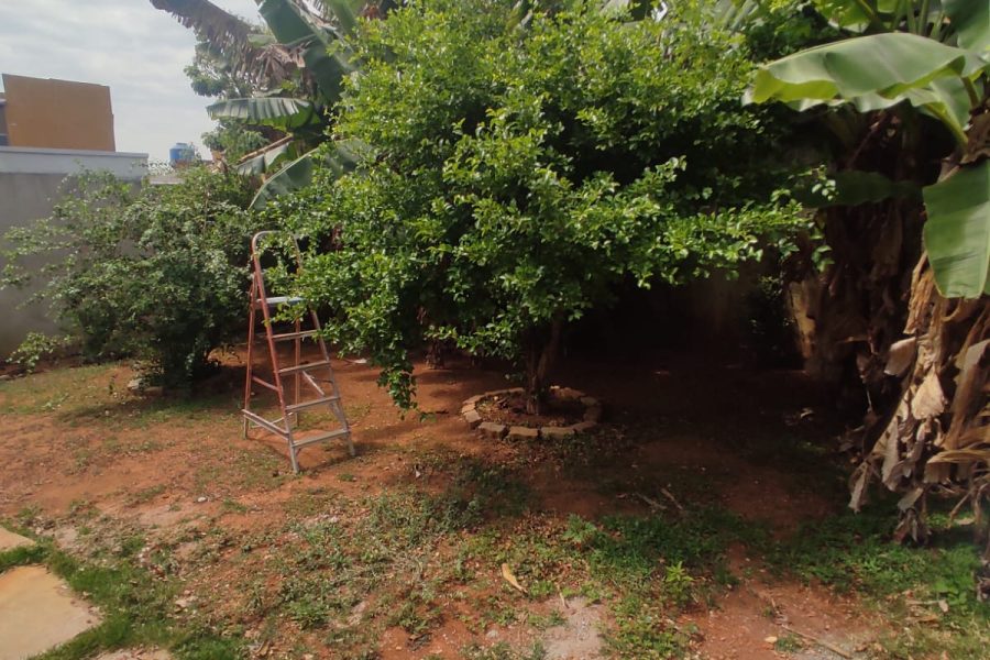 WhatsApp Image 2022-10-30 at 19.55.38